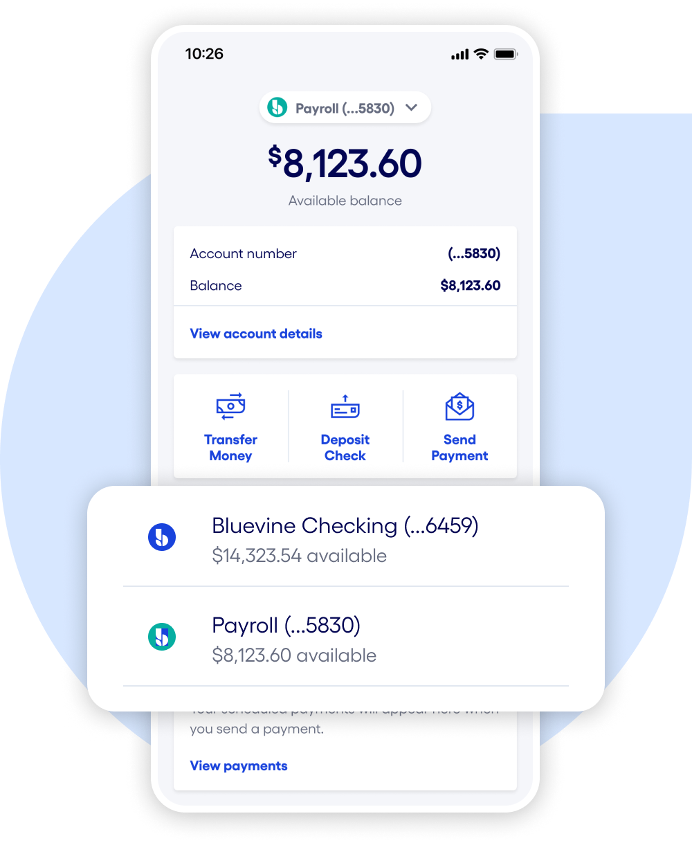 Bluevine Subaccounts Control Finances